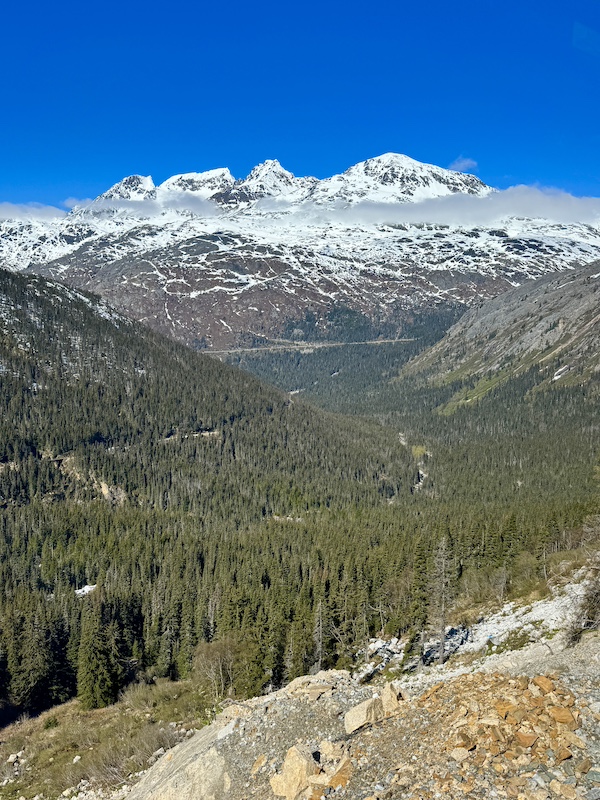 view from White Pass Railroad train in Skagway Alaska