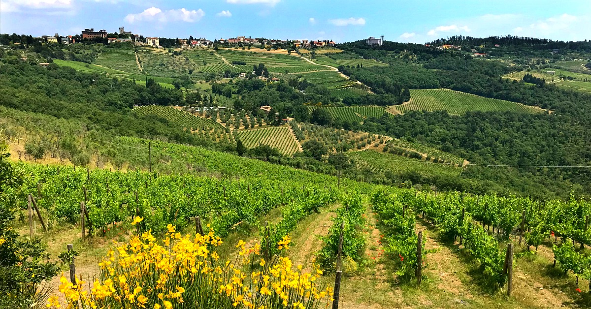 Five tips for wine tasting in Tuscany