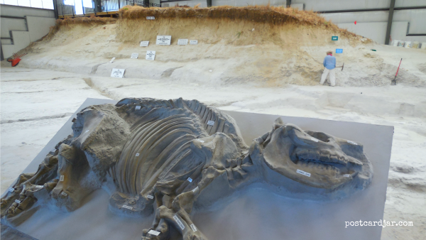 Nebraska’s Nicest #5 – Ashfall Fossil Beds State Historical Park