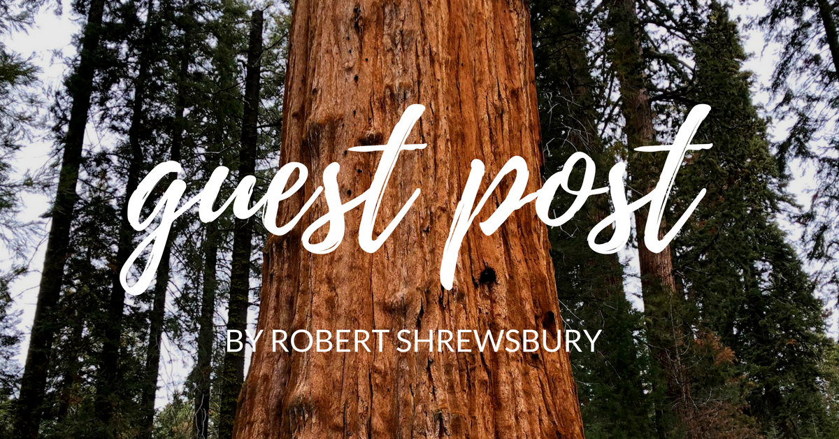 A guest post from Ann’s brother about his unplanned stop Sequoia National Park