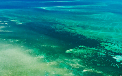 A new view of Key West