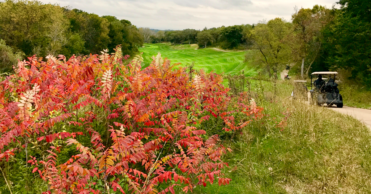 How we drove 18 holes at Quarry Oaks Golf Club and didn’t lose a single ball