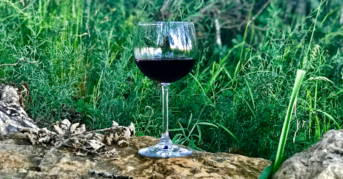 A unique wine tasting in the woods and our stay near Montepulciano, Italy